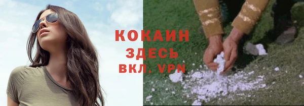 мяу мяу кристалл Вяземский