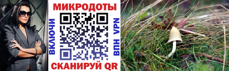 Галлюциногенные грибы ЛСД  дарнет шоп  Омск 