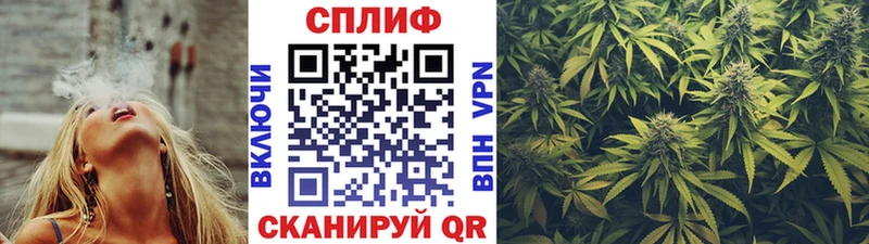 Каннабис план  blacksprut   Омск 